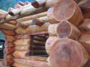 Picture from our log yard :- Log work detail.